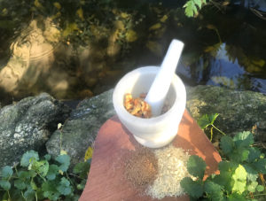 mortar and pestle with walnuts and water