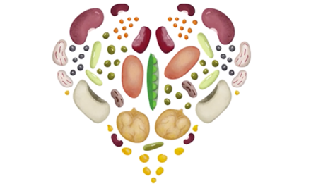 The pluses of pulses in your daily diet