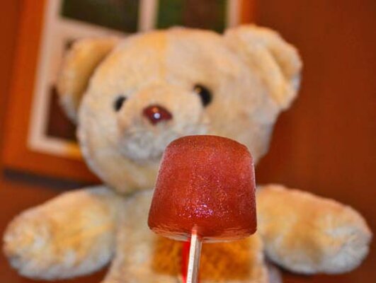 American Vegan Society Popsicle
