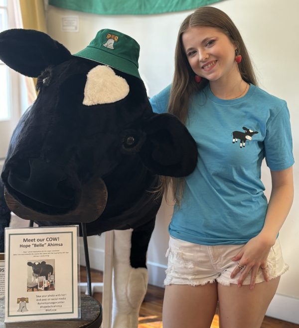 Cow T-shirt - Image 3