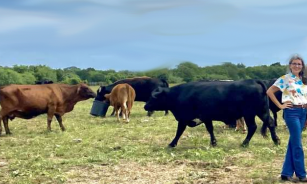 Animal Farms Switching to New Practices For a Sustainable World