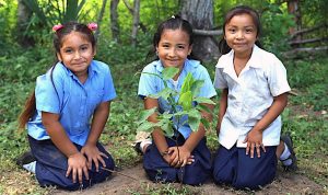 Three members of Fruit Tree Planting Foundation