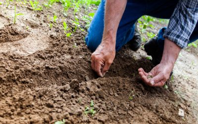 Striving For Decent Work and Economic Growth