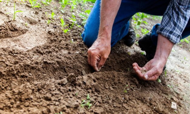 Striving For Decent Work and Economic Growth