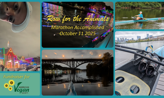 Row for the Animals: Reflections from the Schuylkill River