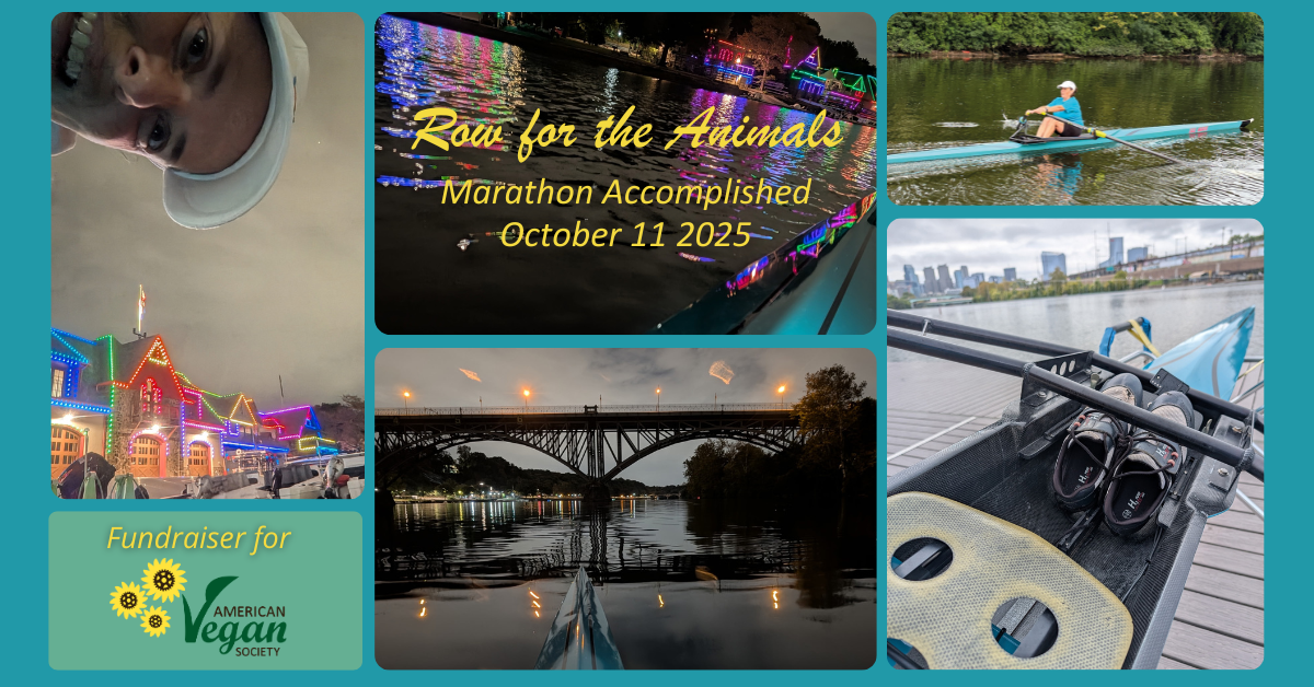 Row for the Animals: Reflections from the Schuylkill River