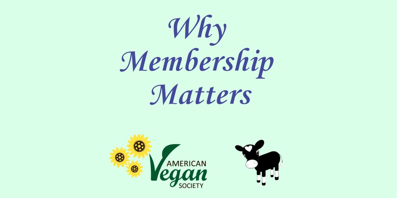 Why Membership Matters