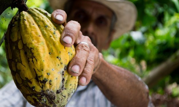Getting Responsible about Consumption and Production