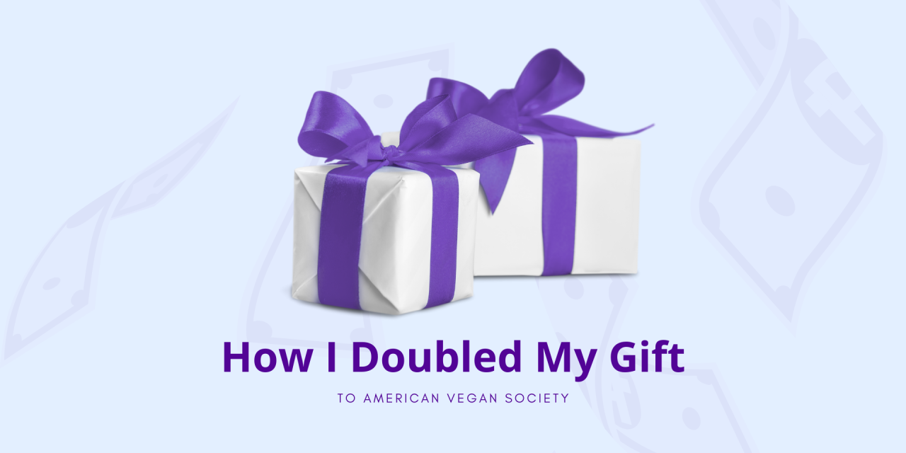 How I Doubled My Gift to AVS