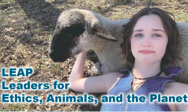 Preparing Young Leaders for a More Compassionate World